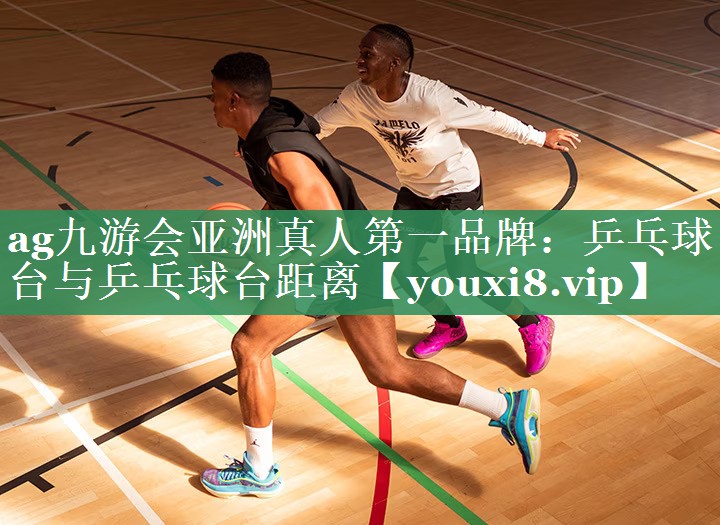 <strong>ag九游会亚洲真人第一品牌：乒乓球台与乒乓球台距离</strong>