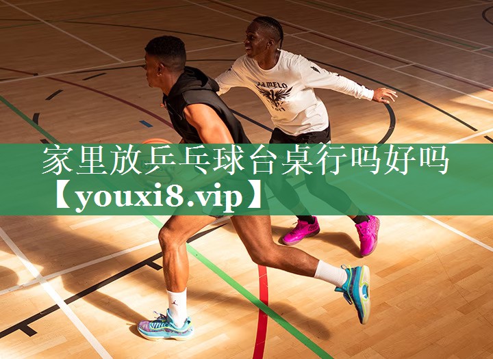 <strong>家里放乒乓球台桌行吗好吗</strong>