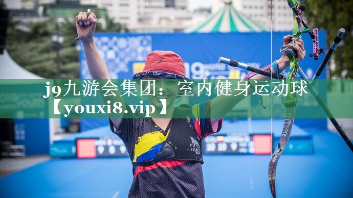 <strong>j9九游会集团：室内健身运动球</strong>