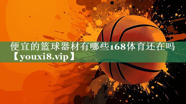 便宜的篮球器材有哪些168体育还在吗