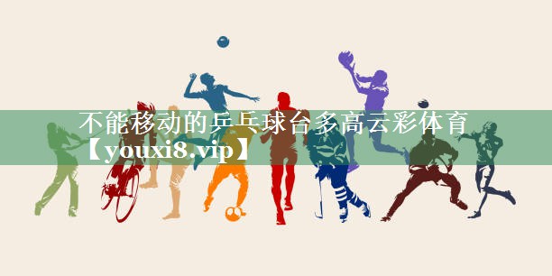 不能移动的乒乓球台多高云彩体育