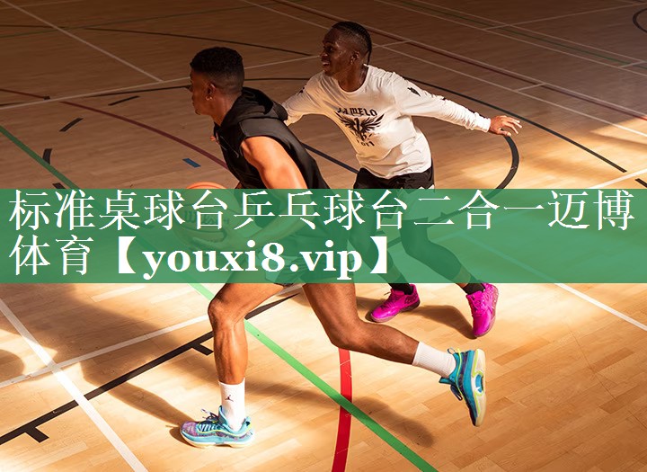 标准桌球台乒乓球台二合一迈博体育
