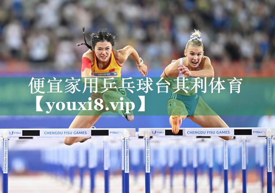 便宜家用乒乓球台其利体育