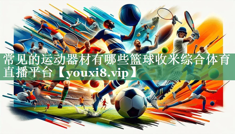 常见的运动器材有哪些篮球收米综合体育直播平台