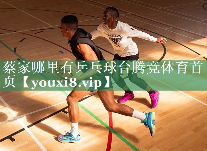蔡家哪里有乒乓球台腾竞体育首页