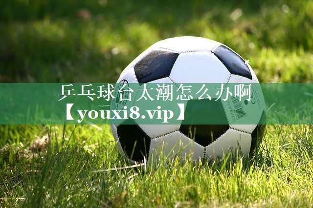 乒乓球台太潮怎么办啊