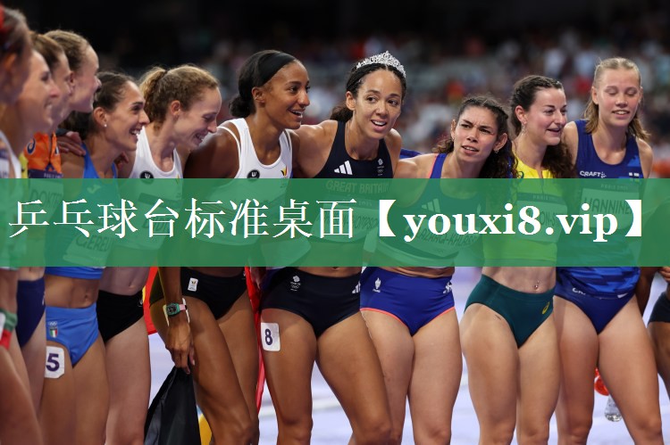 乒乓球台标准桌面