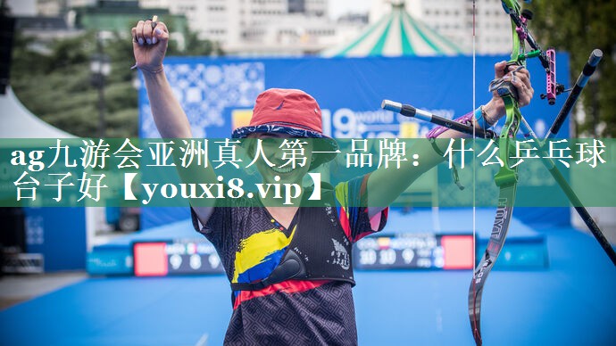 什么乒乓球台子好