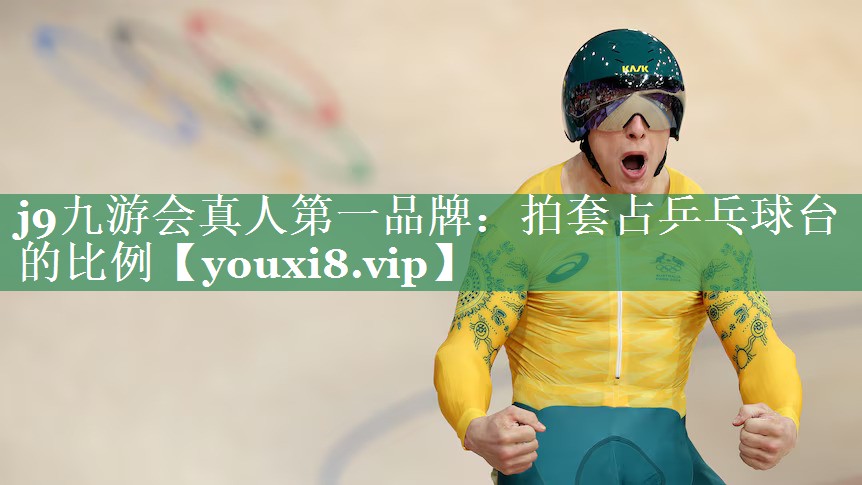 拍套占乒乓球台的比例