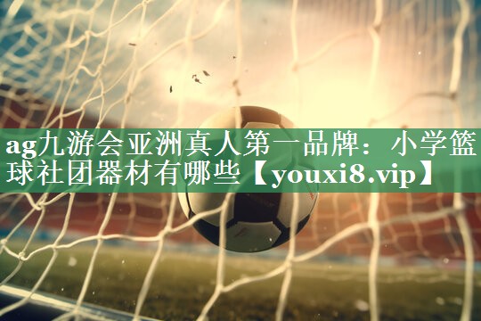 小学篮球社团器材有哪些