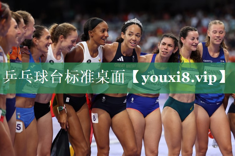 乒乓球台标准桌面
