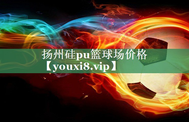<strong>扬州硅pu篮球场价格</strong>