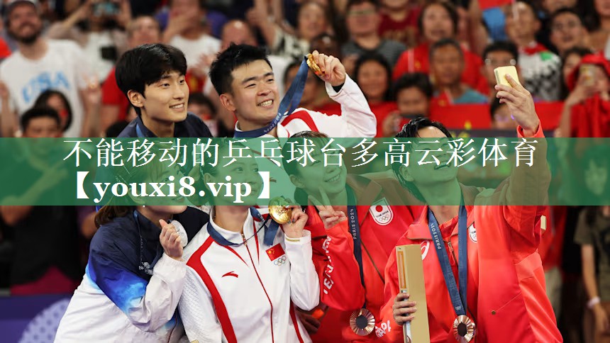 <strong>不能移动的乒乓球台多高云彩体育</strong>