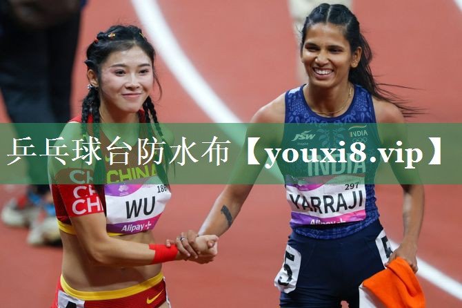 乒乓球台防水布
